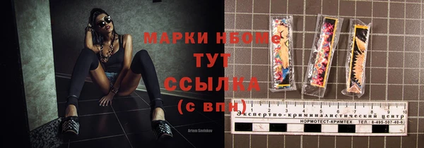 шишки Белокуриха