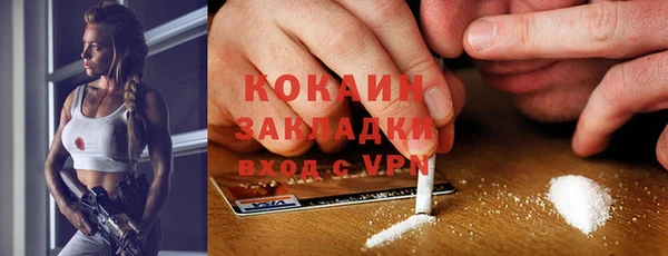шишки Белокуриха