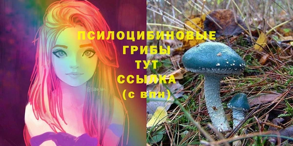 шишки Белокуриха
