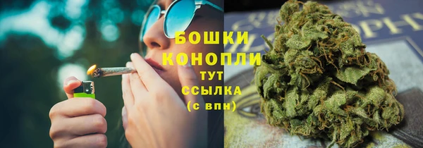 гашик Белоозёрский
