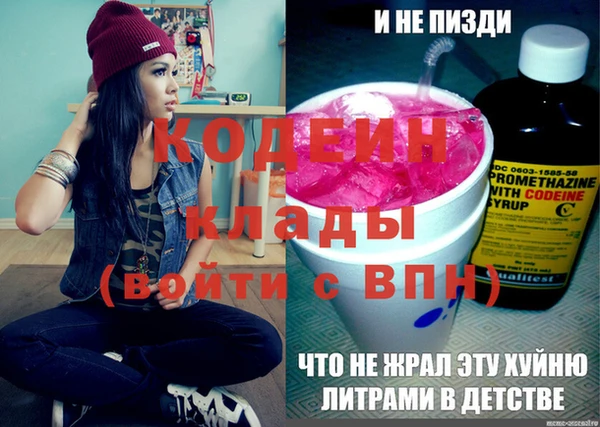 шишки Белокуриха