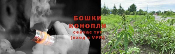 шишки Белокуриха