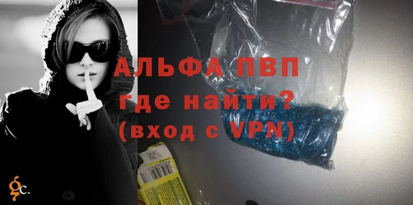 шишки Белокуриха