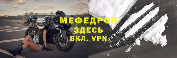 шишки Белокуриха