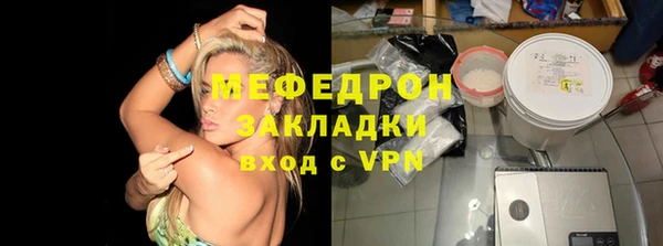 шишки Белокуриха