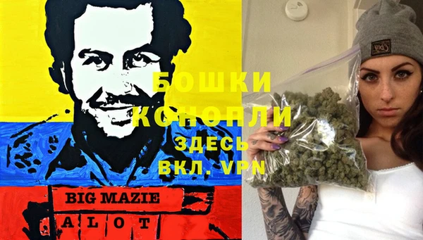 шишки Белокуриха