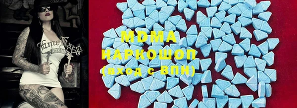 шишки Белокуриха