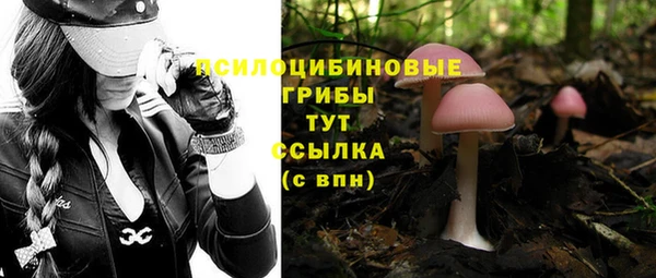 шишки Белокуриха