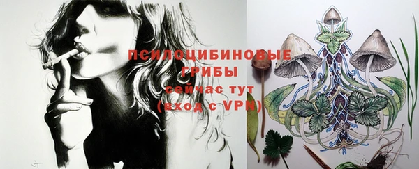 гашик Белоозёрский