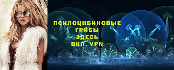 шишки Белокуриха