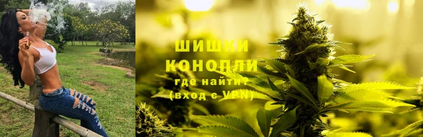 гашик Белоозёрский