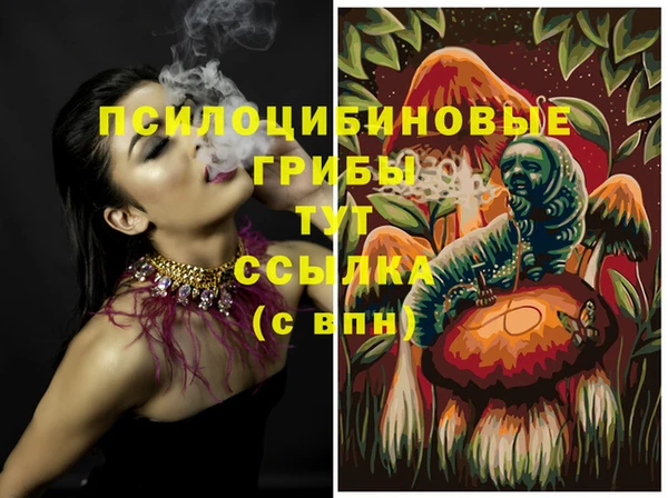 шишки Белокуриха