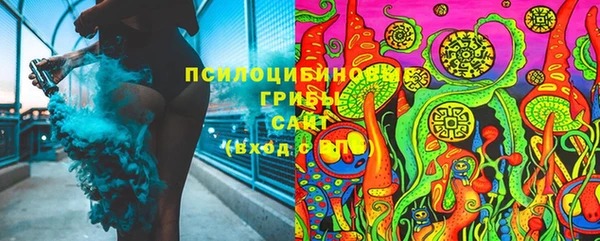 гашик Белоозёрский
