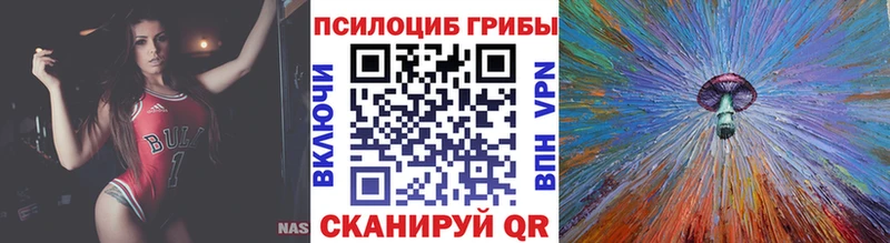 Псилоцибиновые грибы GOLDEN TEACHER  площадка наркотические препараты  Полесск 